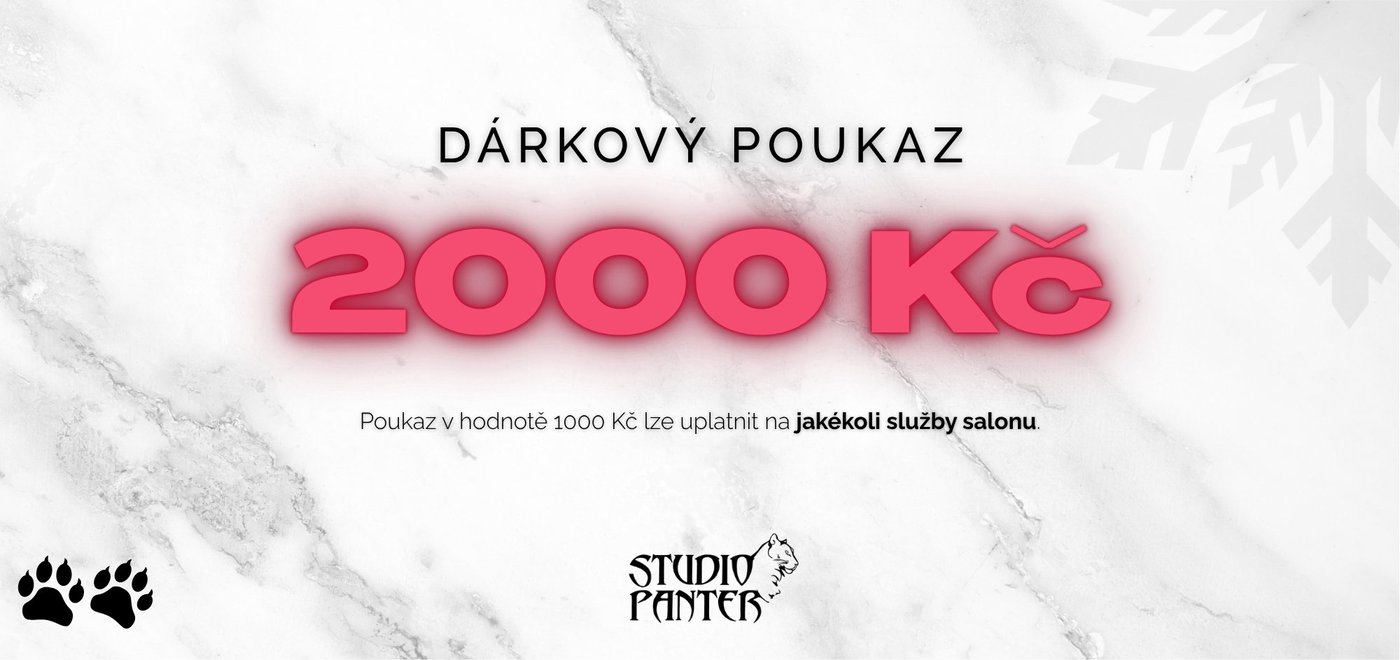 Dárkový poukaz 2000 Kč - Studio Panter